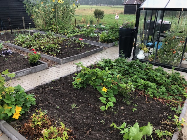 Moestuin na aanleg met bestrating
